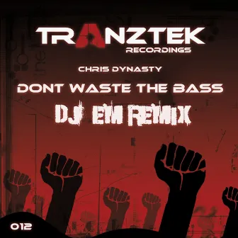 Don't Waste The Bass (DJ Em Remix) by Chris Dynasty