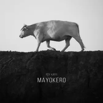 Mayokero by Roy Kafri