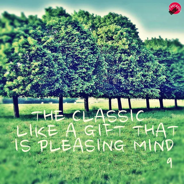 The Classic Like a Gift That is Pleasing Mind 9