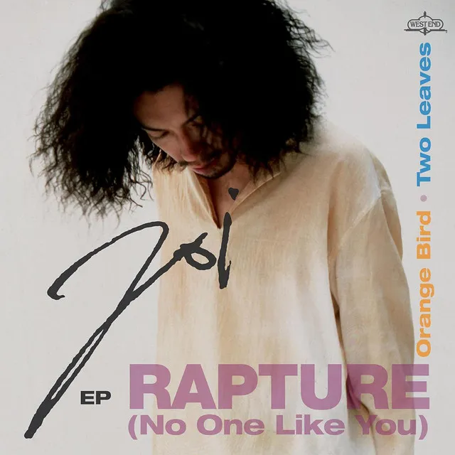 Rapture (No One Like You) - Main Mix