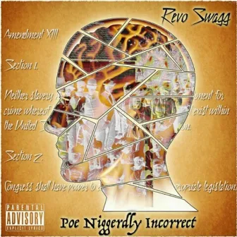 Poe Niggerdly Incorrect by Revo Swagg