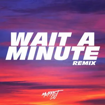 Wait A Minute! (Tik Tok Remix) by Muppet DJ