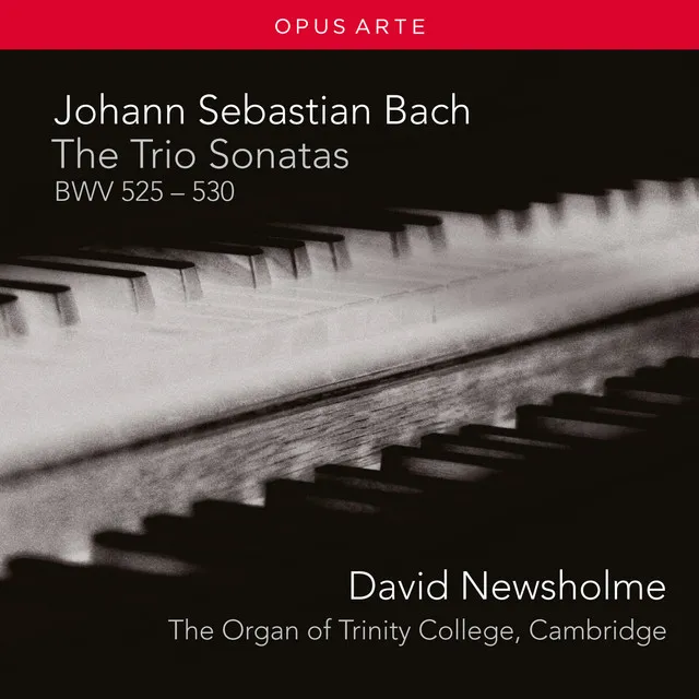 Trio Sonata No. 2 in C Minor, BWV 526: I. Vivace