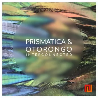 Interconnected by Prismatica