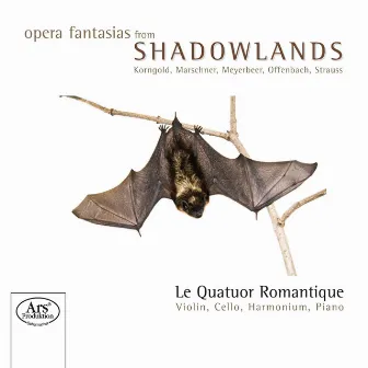 Opera Fantasias from the Shadowlands by Quatuor Romantique, Le