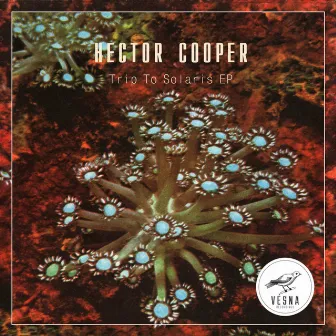 Trip To Solaris EP by Hector Cooper