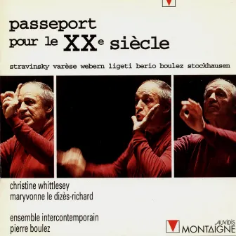 Passeport pour le XXe siècle by Christine Whittlesey