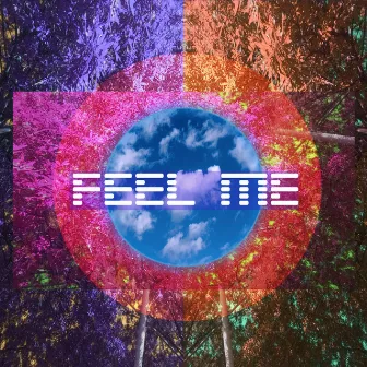 Feel Me by P Heir