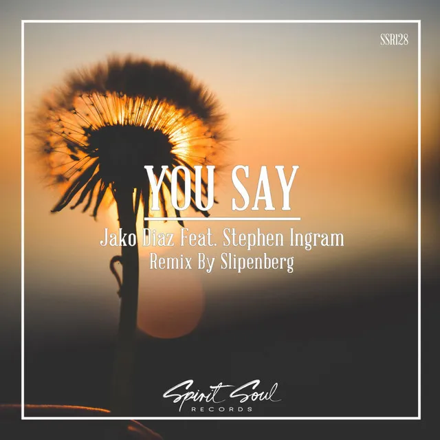 You Say - Slipenberg Radio Remix