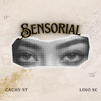 Sensorial by Cachy St