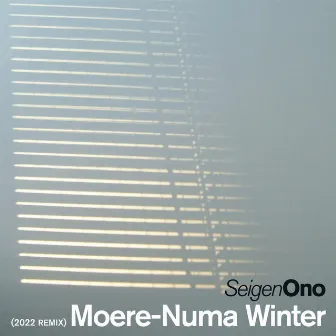 Moere-Numa Winter (2022 REMIX) by Seigen Ono