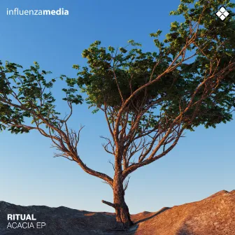 Acacia EP by Ritual