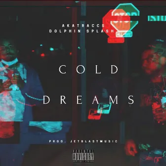 Cold Dreams by Dolphin Splash