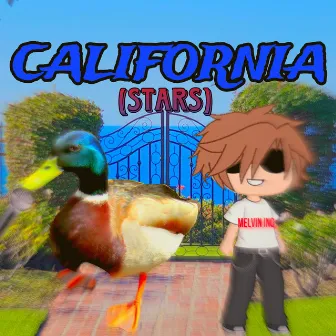 California (Stars) by Lil Mallard Duck