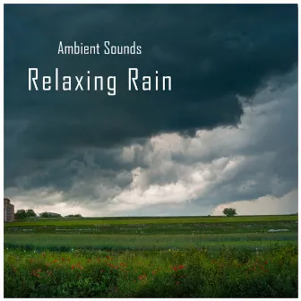 Ambient Sounds: Relaxing Rain by musicoterapiateam