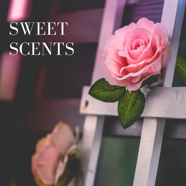 Sweet Scents