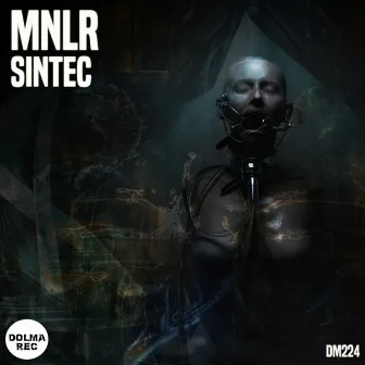 Sintec by MNLR