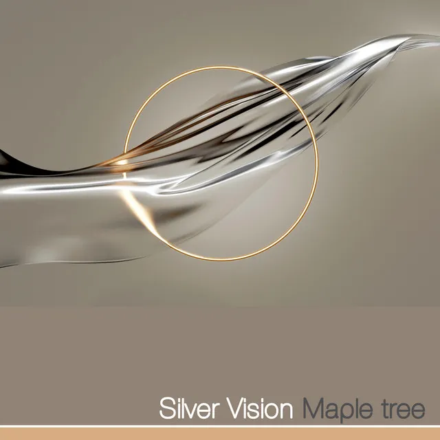 Silver Vision