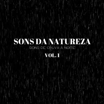 Sons Da Natureza: Sons De Chuva À Noite Vol. 1 by Sonidos De La Selva