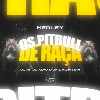 Os Pitbull de Raça by Dj Hn do Alvorada