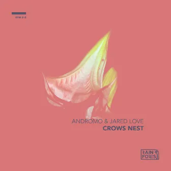 Crows Nest by Jared Love