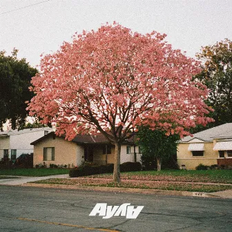 what you need (feat. QNTN) by AY AY