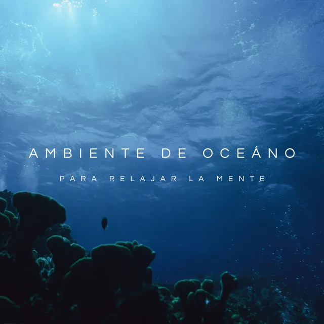 Ambiente De Oceáno Para Relajar La Mente