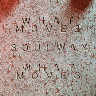 What Moves (Soulwax Remix) by Soulwax