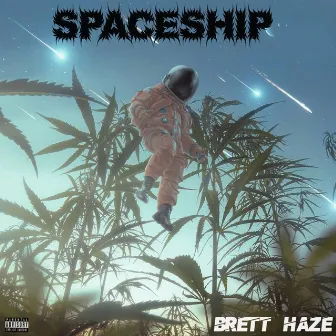 Spaceship by Brett Haze