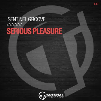 Serious Pleasure by Sentinel Groove