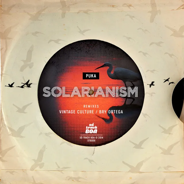 Solarianism - Vintage Culture Remix