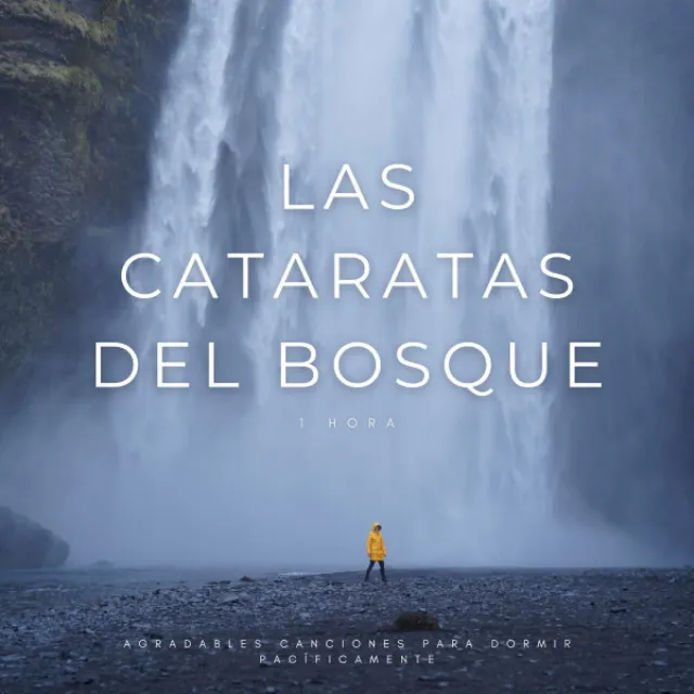 Las Cataratas Del Bosque: Agradables Canciones Para Dormir Pacíficamente - 1 Hora