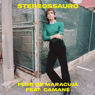 Flor de Maracujá by Stereossauro