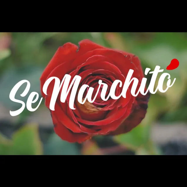 Se Marchitó