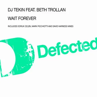 Wait Forever (feat. Beth Trollan) by DJ Tekin