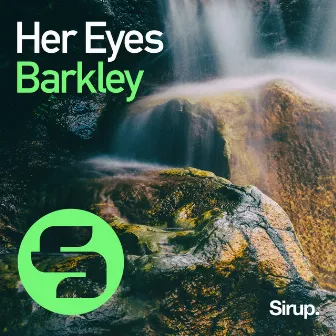 Her Eyes by Barkley