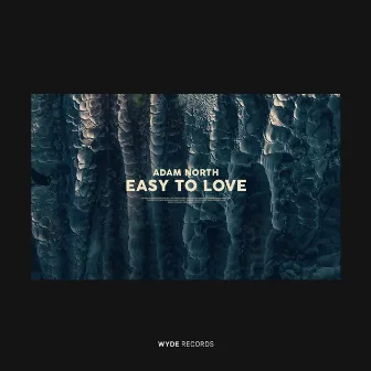 Easy To Love by Adam North