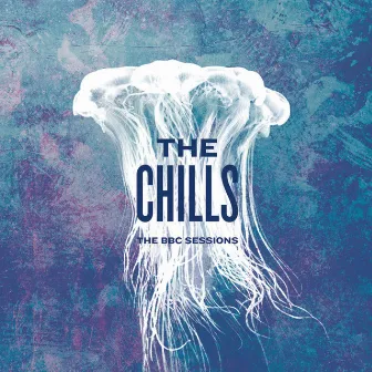 The BBC Sessions by The Chills