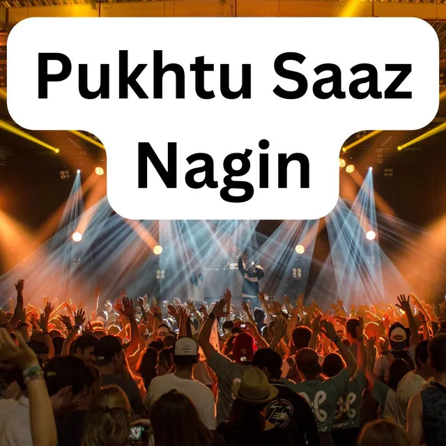 Pukhtu Saaz Nagin