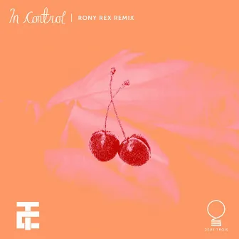 In Control (Rony Rex Remix) by Rony Rex