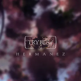 Twenty Four by Hermanez