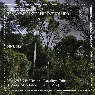 Paradigm Shift (Interpretation Mix) by L3MAYIAN