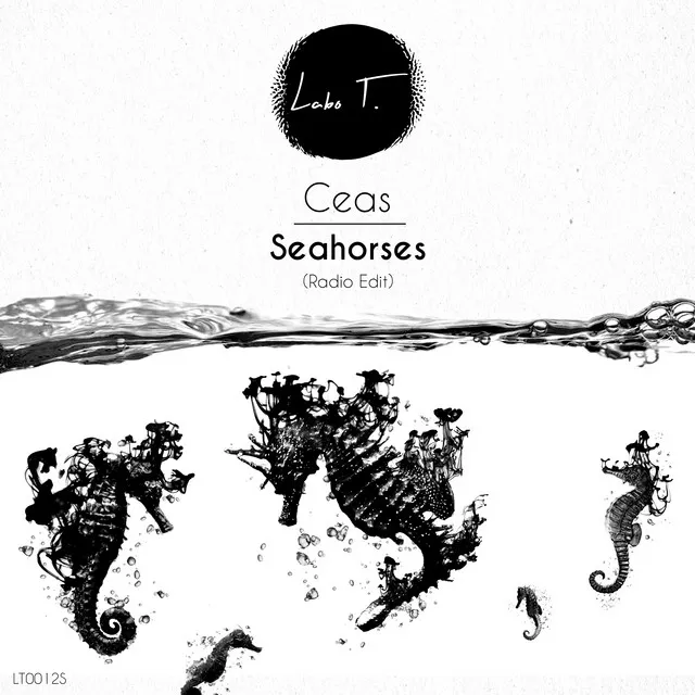 Seahorses - Radio Edit