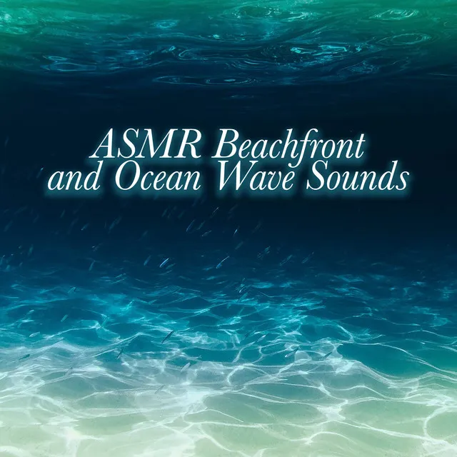 ASMR Beachfront and Ocean Wave Sounds