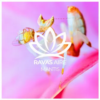 Mantis by Ravas Aire