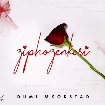 Ziphozenkosi by Dumi Mkokstad