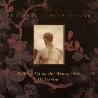 Waking Up On the Wrong Side of No One by Dead Leaves Rising