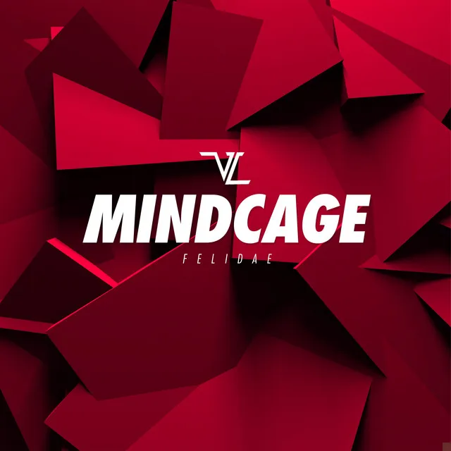 Mindcage