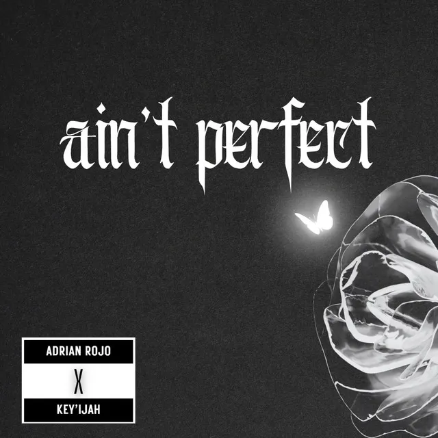 Ain't Perfect