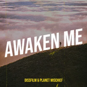 Awaken Me by DissFilm